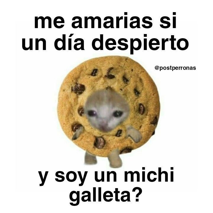 aXo (@axozerr) on Twitter photo 