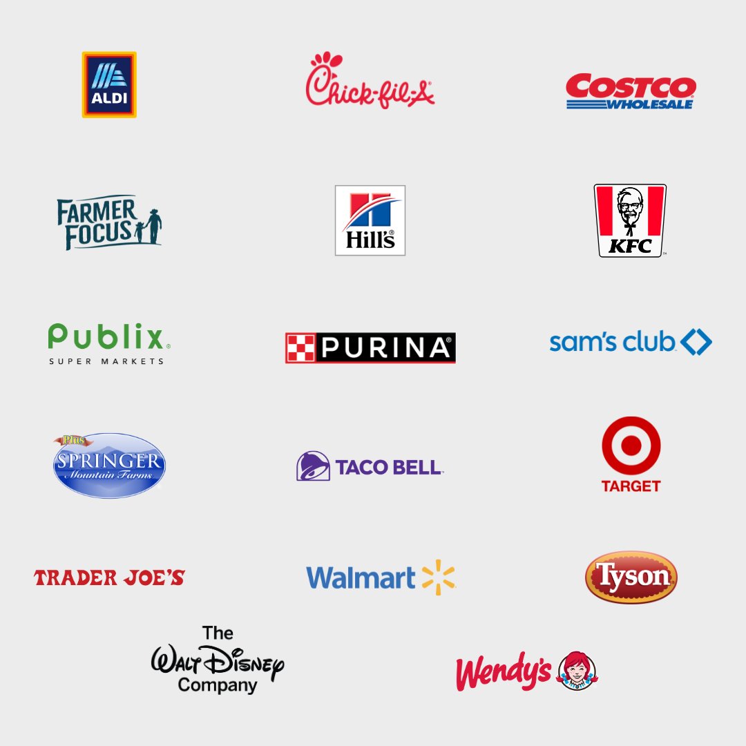 ciwfusa's tweet photo. No commitment in sight. ❌

These companies are hesitating to join 230+ other food businesses in committing to higher bird welfare, as shared in this year's #ChickenTrack report.

See who is progressing and who is falling behind at https://t.co/JLCj854E9r. https://t.co/ag5oip2O4m