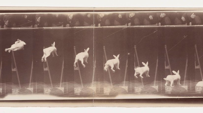 Shooting #film on the GOOD FRIDAY and EASTER long weekend? The <a href="/LIFTfilm/">LIFT</a> office and #LiftStore will be closed on April 7 and 10, 2023—buy your film ASAP! lift.ca/news-post/lift… #analogue #Regular8mm #Super8mm #16mm #Toronto