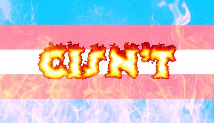 HAPPY TRANS DAY OF VISIBILITY TO ALL MY BEAUTIFUL TRANS, NON-BINARY, AND GENDER SILLY FOLK I LOVE YOU ALL SO MUCH AND LETS KEEP BEING WHOEVER TF WE WANT TO BE BC NO ONE OR THING CAN STOP US🏳️‍⚧️🤍