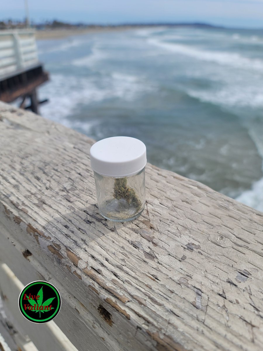 LvValiant's tweet photo. Gettn Lost

     And

Gettn Found

#Cannabis is a blessing 💚🙏
#MedicalMarijuana 
#LiveValiant https://t.co/oeiL1qvhEW