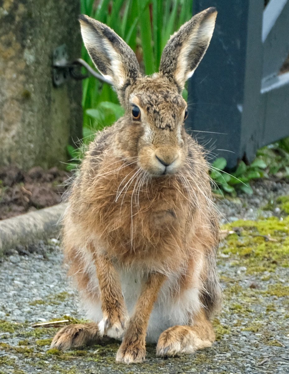 Colin Taylor tweet media