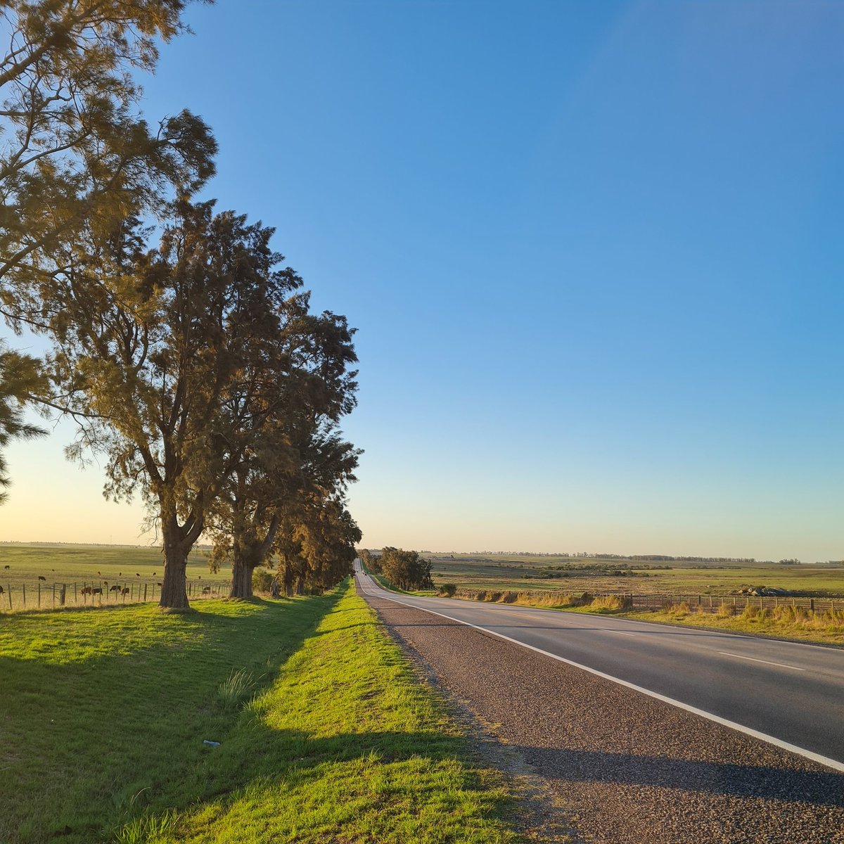 Quedé en encontrarme con una persona en R3 y estacioné donde suelen colocars efectivos de <a href="/DNPCaminera/">Dirección Nacional de Policía Caminera</a>.

Impresiona como los turistas de Semana Santa aminoran la marcha cuando confunden mi tordilla con el movil Policial, y aceleran al percatarse que solo soy un simple ciudadano..
