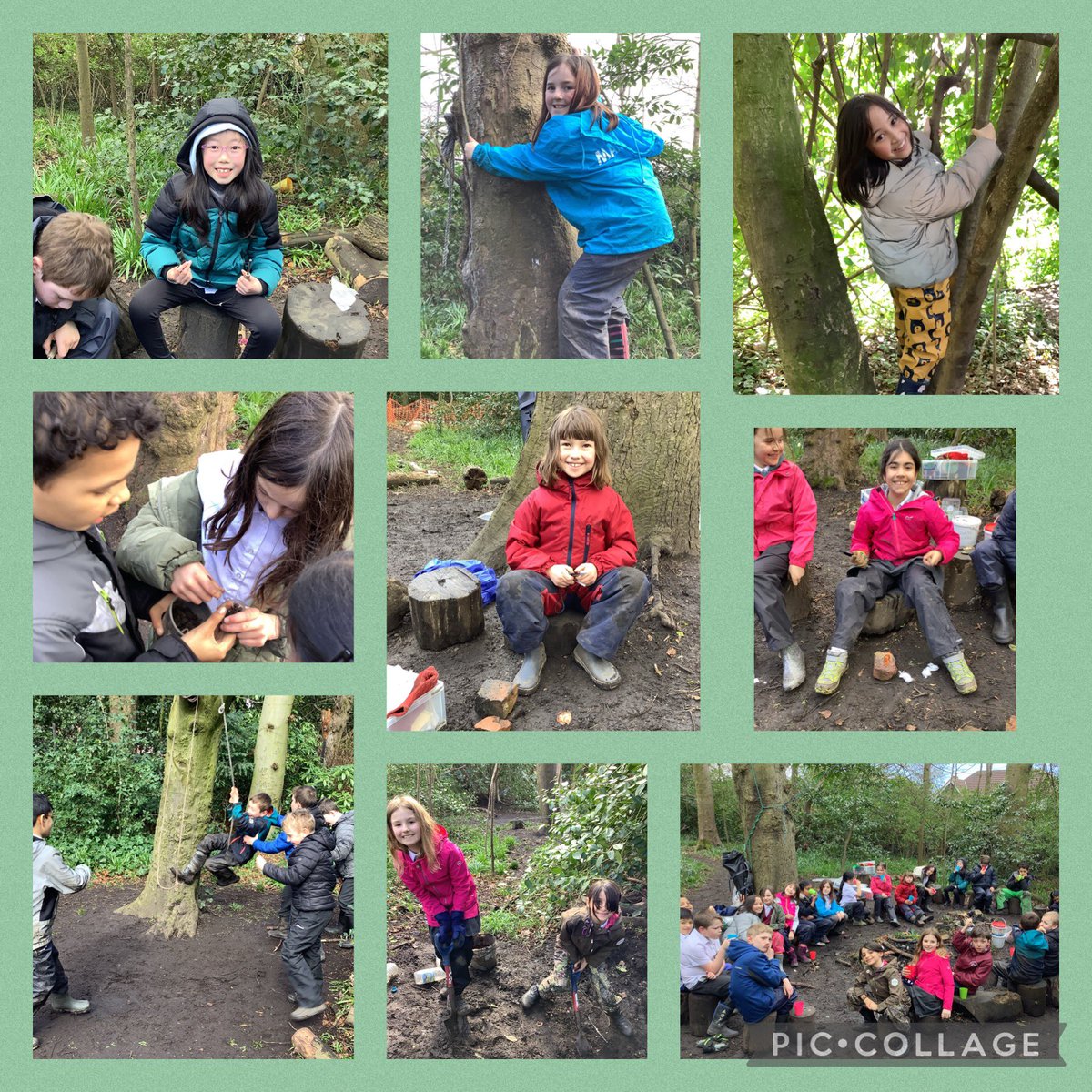 TyntesfieldMB's tweet photo. Our final 2 sessions in the woods were full of bug hunting, climbing, flint and steel skills, digging (obviously!) and lots of laughs! #TPSOutdoorlearning #TPSwoodywanderers https://t.co/809q2nZtMF