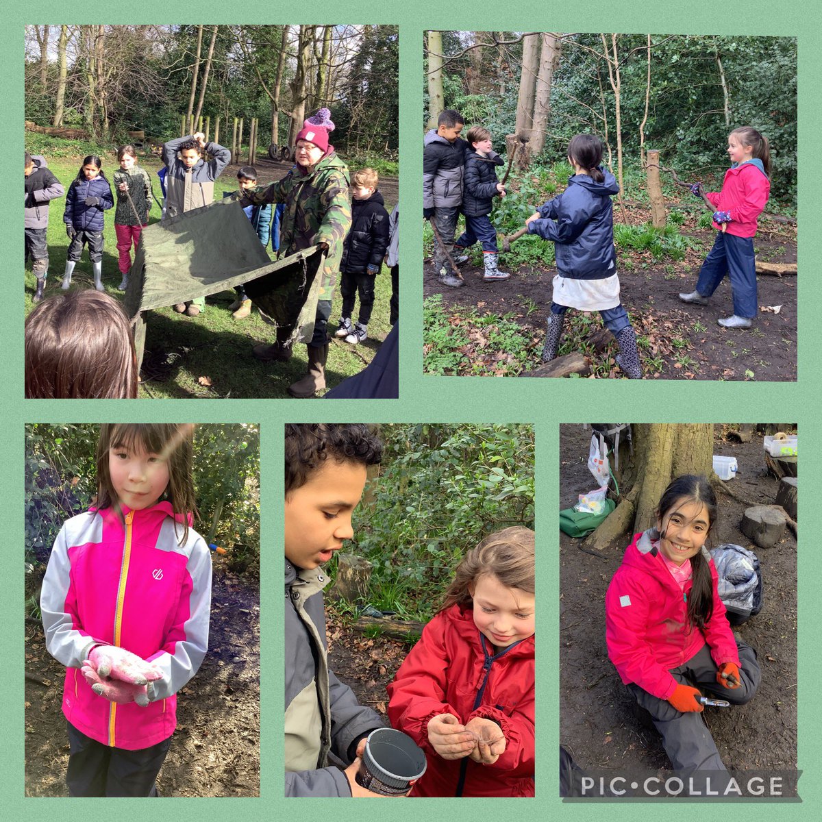TyntesfieldMB's tweet photo. Our final 2 sessions in the woods were full of bug hunting, climbing, flint and steel skills, digging (obviously!) and lots of laughs! #TPSOutdoorlearning #TPSwoodywanderers https://t.co/809q2nZtMF