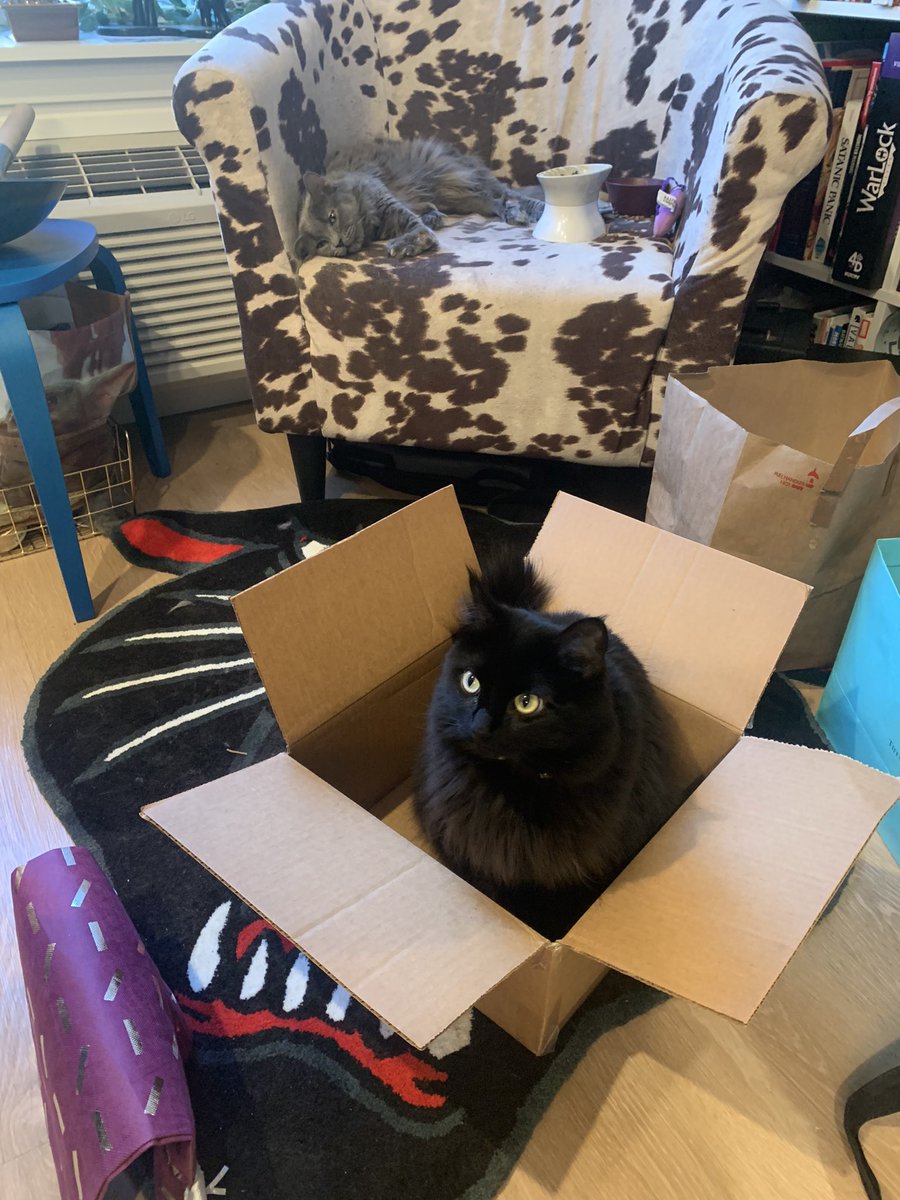 binx is excited for me and jon to get married mostly because she’ll no longer be living in a house of sin but also because we keep getting boxes