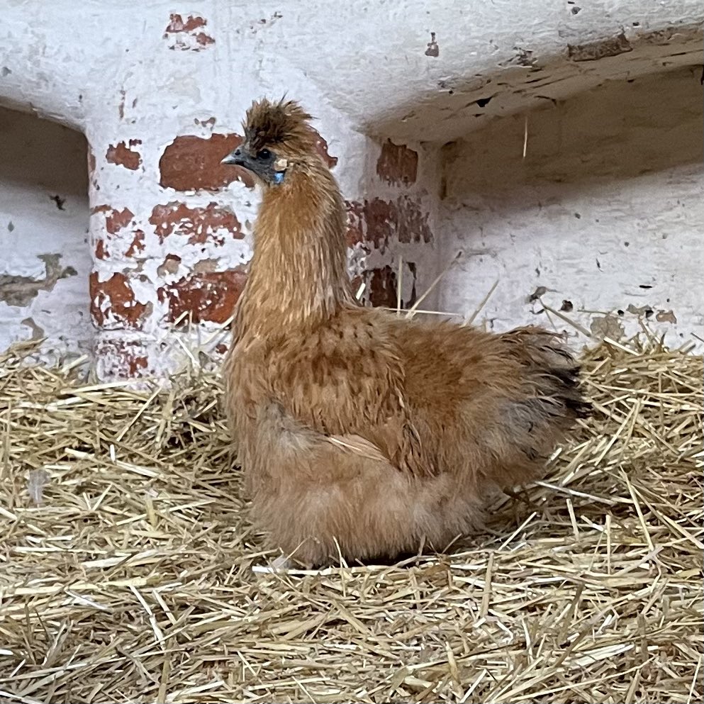 hollyelamb's tweet photo. @PhoebeTurner23 @JamesTurner37 @asda Phoebe is living her best life. She has a boyfriend called Kevin. https://t.co/ipmwh3G0rr