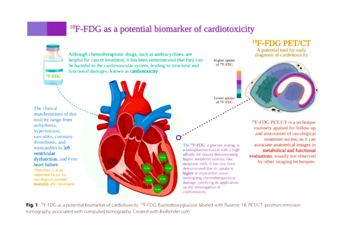 18F-FDG PET/CT seems to be a powerful metabolic marker of cardiotoxicity. Read more about its potentialities in this new paper #18F-FDG PET/CT rdcu.be/c8xCZ #CardioOncology #ICOS