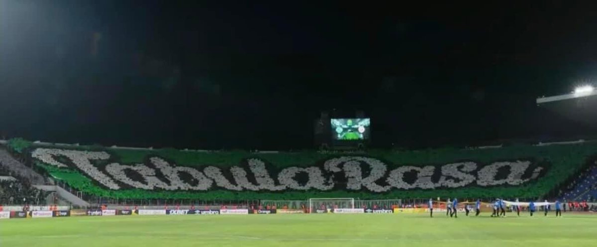 Raja Phobia 🇵🇸 tweet media