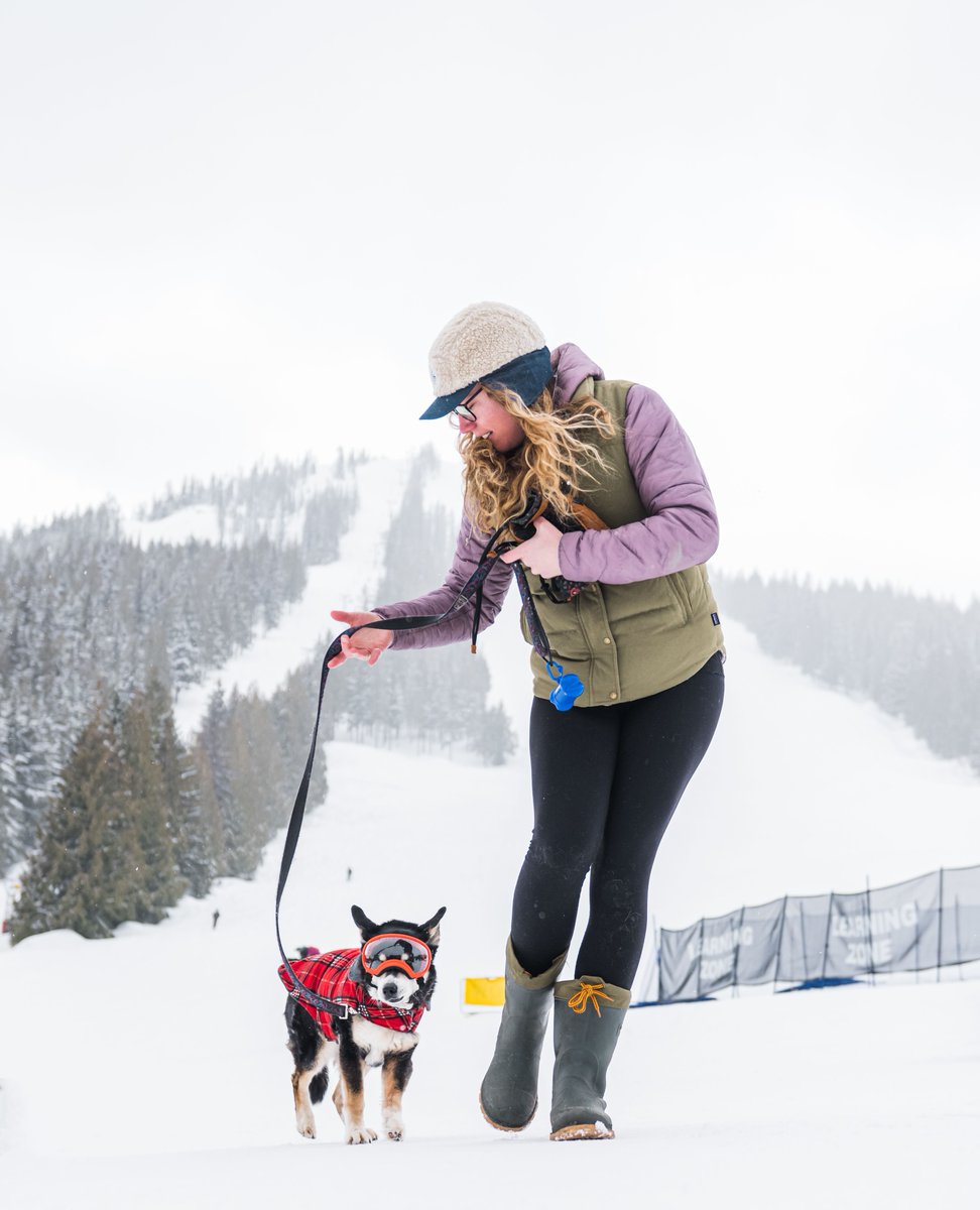 redresort tweet media