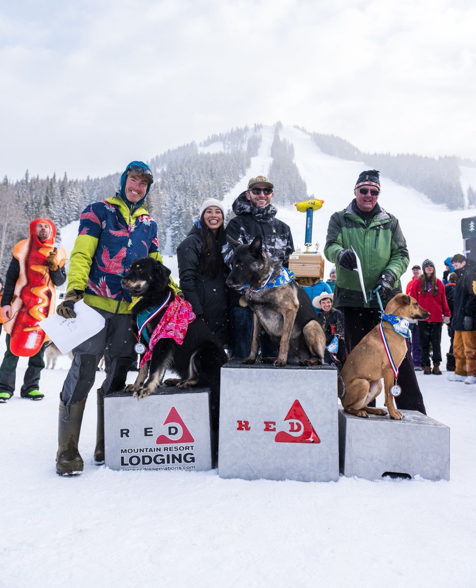 redresort tweet media