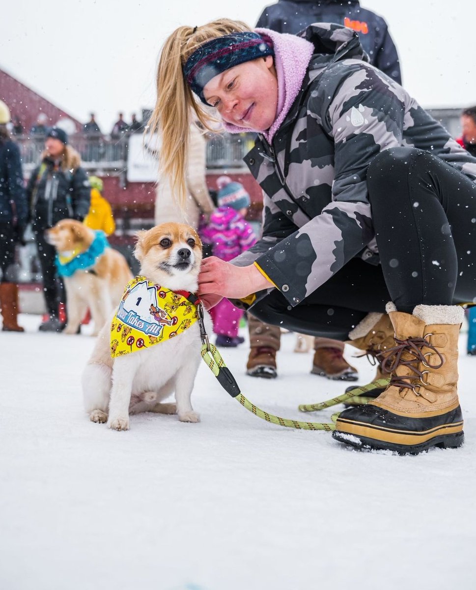 redresort tweet media