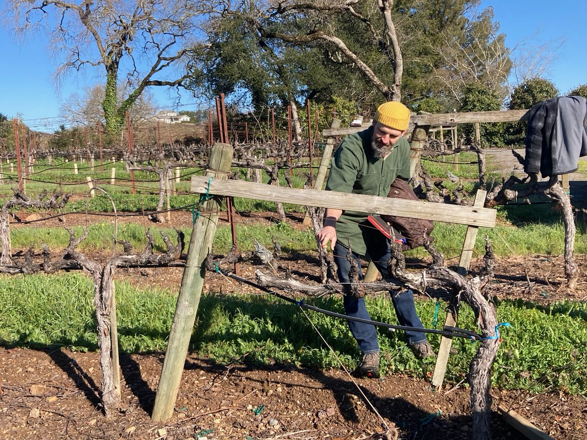 Gary Farrell Winery tweet media