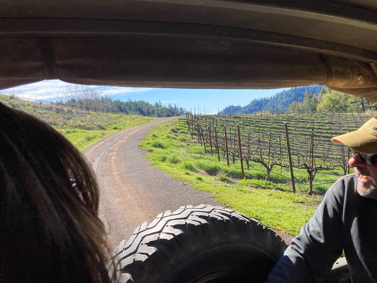 Gary Farrell Winery tweet media