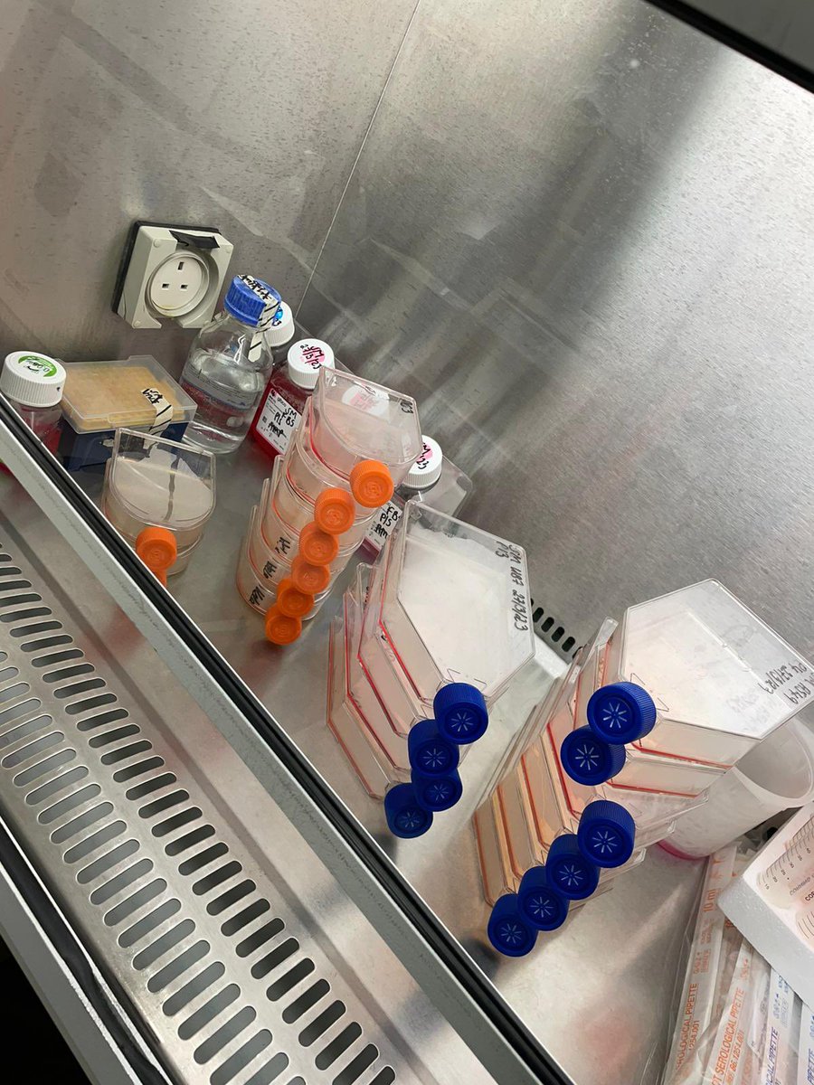 <a href="/_SamanthaMcCabe/">Samantha McCabe</a> last phd day in the lab going out with a bang. Glad she not actually going anywhere. 🦠💉🧬🩻
