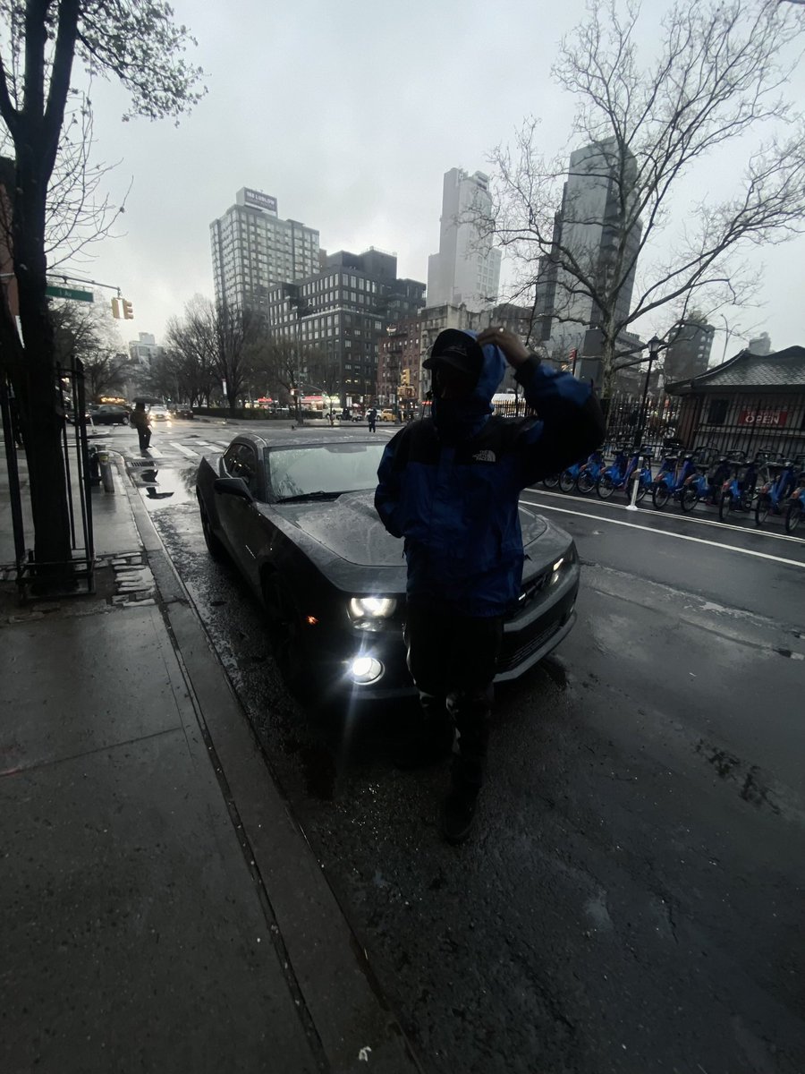 P🌴🦈 tweet media