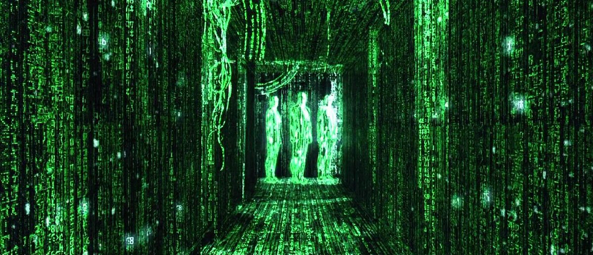 The Matrix (1999)
Directed by The Wachowskis
Cinematography by Bill Pope