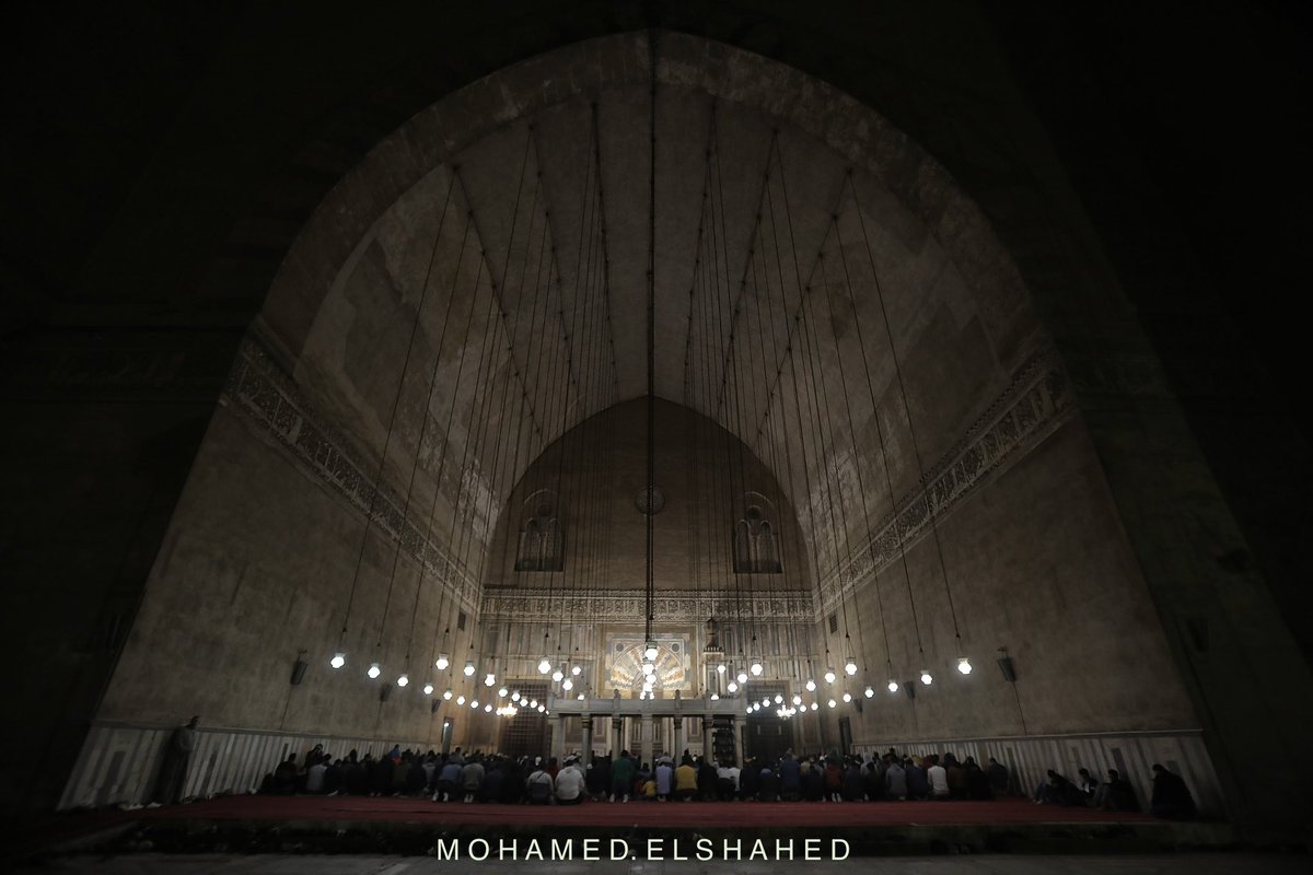 Mohamed El-Shahed tweet media