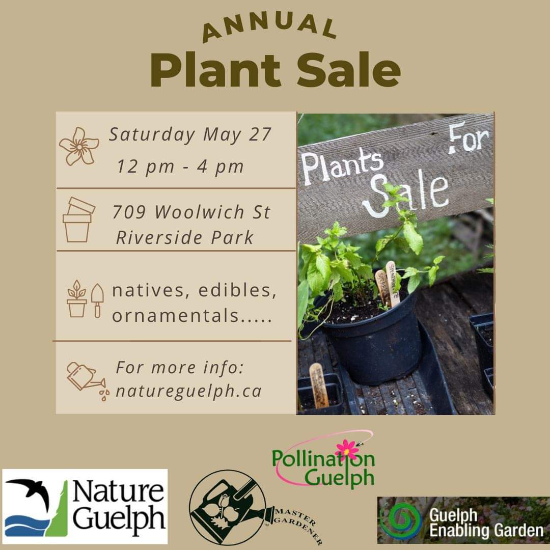Save the Date!  Our annual Native Plant Sale in partnership with <a href="/NatureGuelph/">Nature Guelph</a> <a href="/EnablingGarden/">Guelph Enabling Garden</a> and Guelph Wellington Master Gardeners will be Sat May 27,  Noon to 4pm. Visit us at pollinationguelph.ca to start your garden plans.