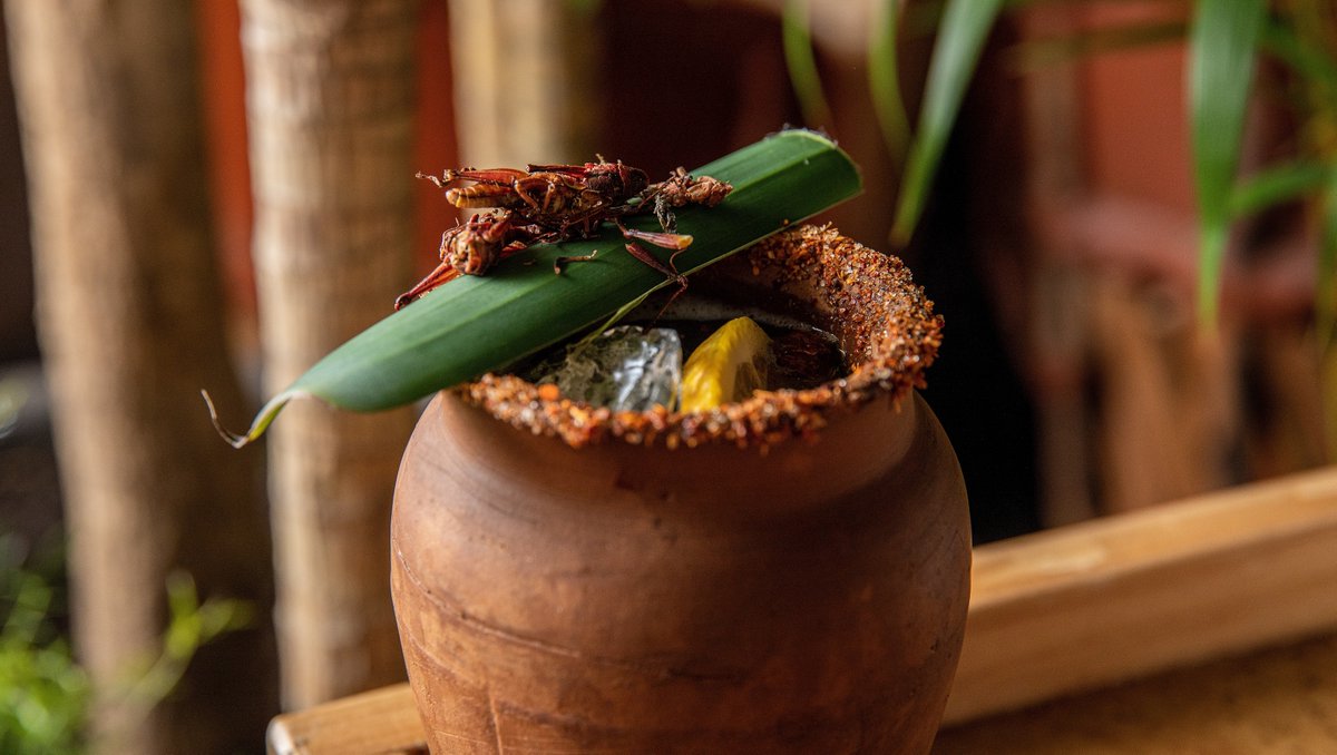 Si la semana estuvo “loca”, tenemos la solución perfecta: Un Jarrito Loco. Pídelo y disfruta tu fin de semana.