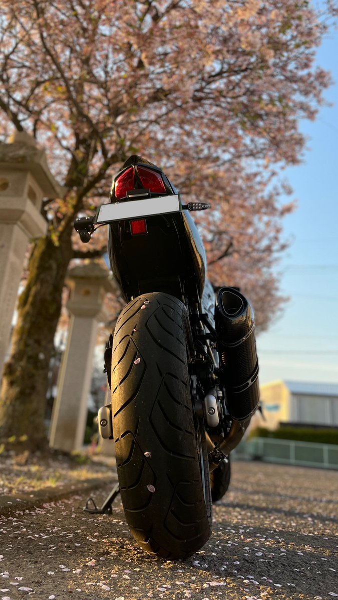 Uarepim's tweet photo. 今日の朝活ソロバイク活動。
桜が綺麗だったがまだ寒かった🥶 https://t.co/oLJR1vS4KR