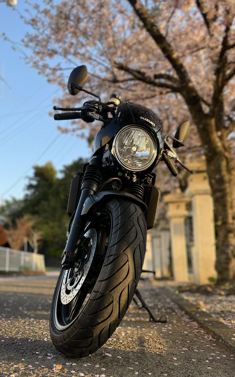 Uarepim's tweet photo. 今日の朝活ソロバイク活動。
桜が綺麗だったがまだ寒かった🥶 https://t.co/oLJR1vS4KR