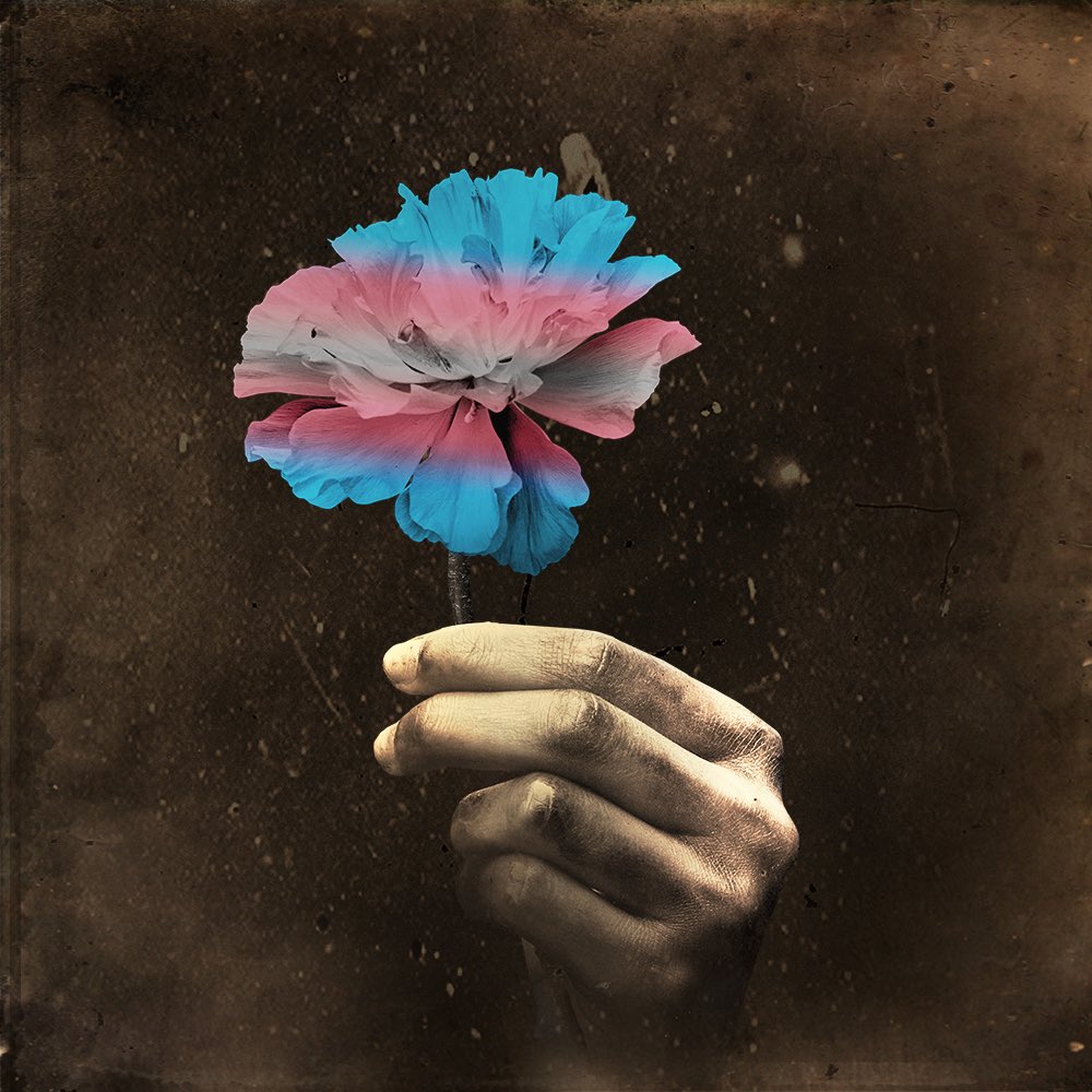 To the world we dream about... one filled with more acceptance and visibility. #TransgenderDayOfVisibility