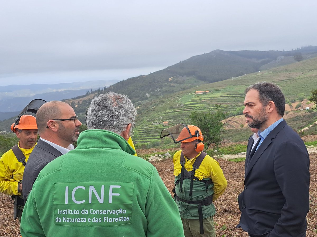ambiente_pt's tweet photo. Em Monchique, com o #SECNF, João Paulo Catarino, o #MAAC, Duarte Cordeiro, viu faixas de gestão de combustível feitas por sapadores florestais e condomínios de aldeia: Madrinha e Vale Longo. Na Mata da Parra, em Silves, viu rearborização e beneficiação de povoamentos florestais. https://t.co/fI9O1vSS3q