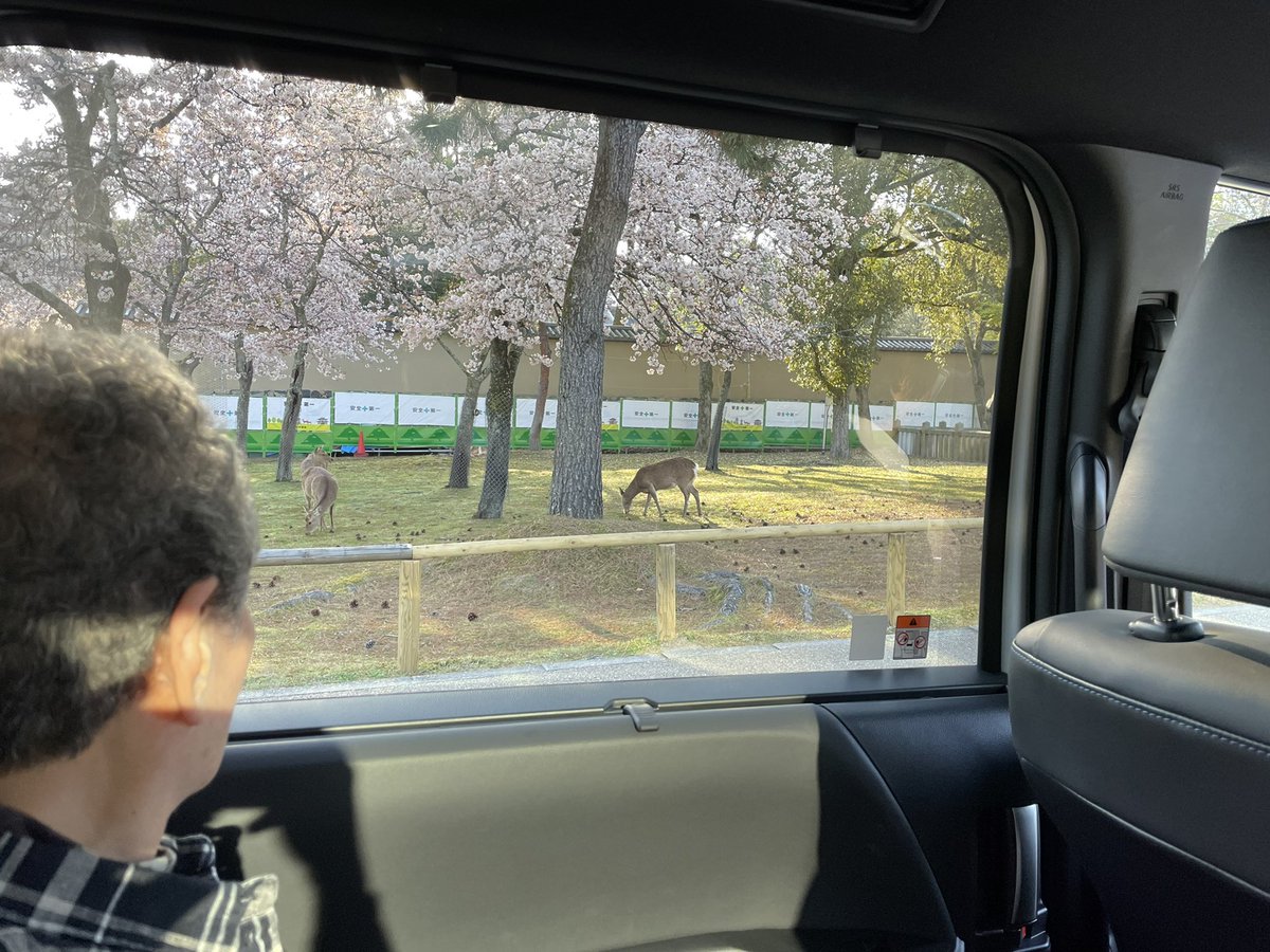 祖母と鹿。 https://t.co/7qwmwjQkll