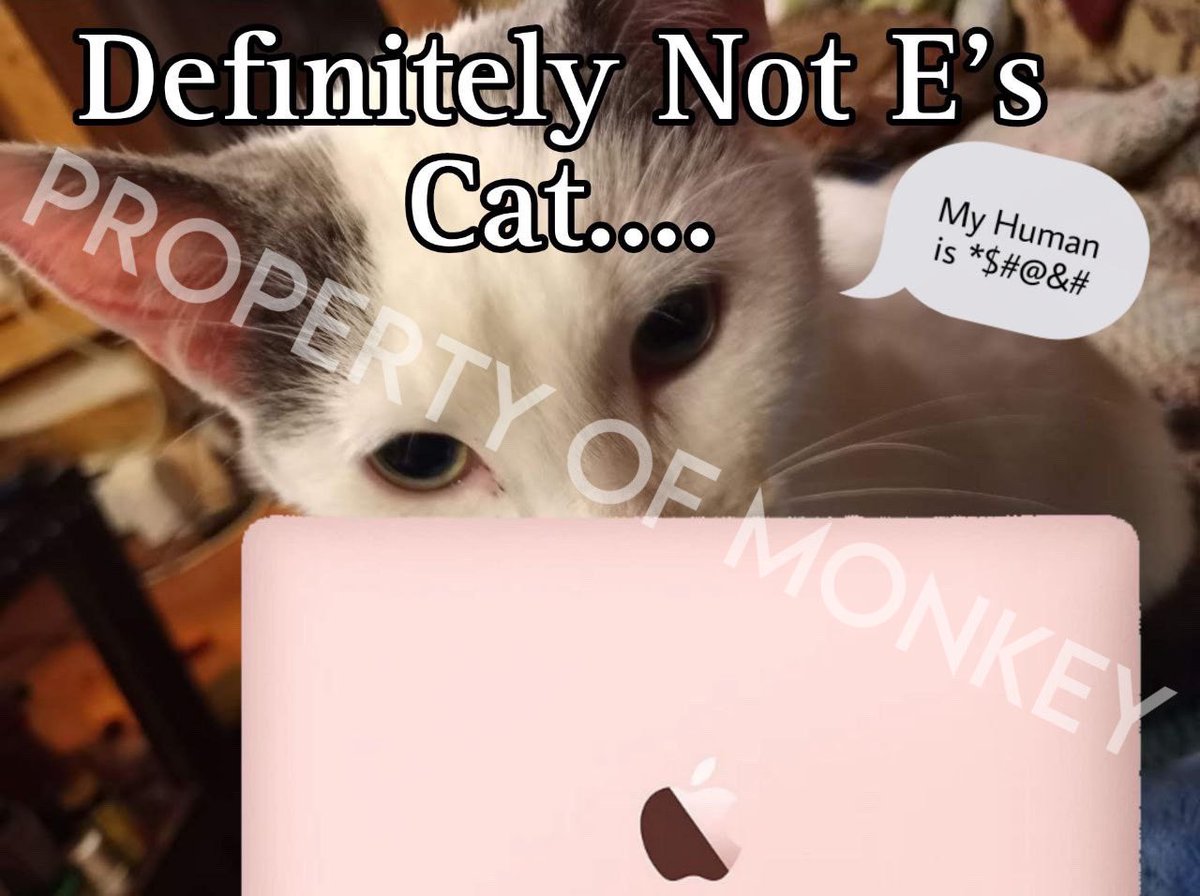 esmonkey_cat's tweet photo. Is this thing on? https://t.co/nNko3NS0Fe