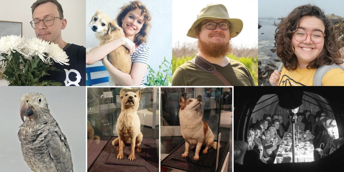 Secretly Incredibly Fascinating (@sifpod) on Twitter photo NEW EPISODE! π <a href="/AlexSchmidty/">Alex Schmidt π¦¬</a> <a href="/KatieGoldin/">Katie Goldin π</a> and special guests Christian Weatherford & <a href="/elksneedle/">Ellen Weatherford π</a> (from <a href="/JusttheZooofUs/">Just the Zoo of Us πππ¦¬</a>!) explore why taxidermy is secretly incredibly fascinating.
π§LISTEN: linktr.ee/sifpod NEW EPISODE! π <a href="/AlexSchmidty/">Alex Schmidt π¦¬</a> <a href="/KatieGoldin/">Katie Goldin π</a> and special guests Christian Weatherford & <a href="/elksneedle/">Ellen Weatherford π</a> (from <a href="/JusttheZooofUs/">Just the Zoo of Us πππ¦¬</a>!) explore why taxidermy is secretly incredibly fascinating.
π§LISTEN: linktr.ee/sifpod