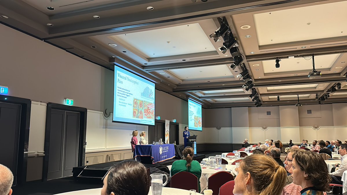 beciser's tweet photo. RANZCOG RSM in Hobart. Great to hear from Sam Mooney about non surgical management of endometriosis and pelvic pain… all before 9.30am! https://t.co/ckV7JZTlw6