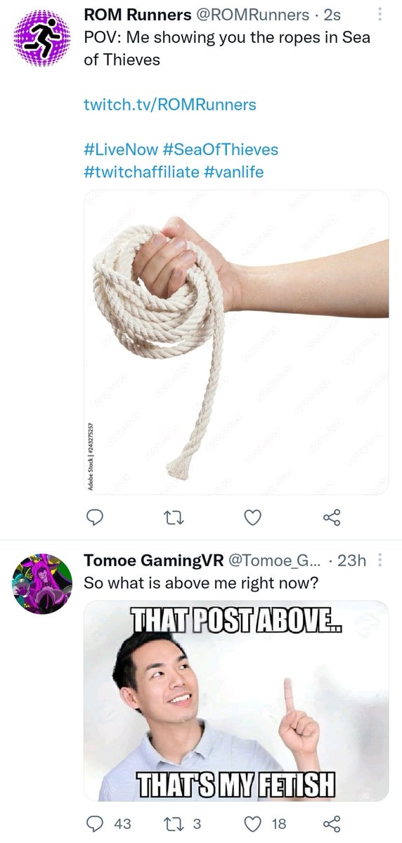 ROMRunners's tweet photo. @Tomoe_GamingVR https://t.co/GXAiwGPRU5