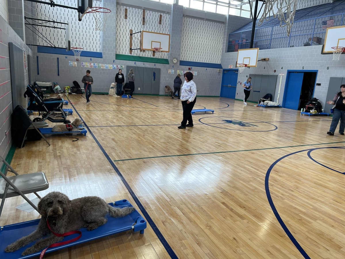 brandon_chall's tweet photo. Today @PublicSchool56 hosted the citywide @NYCSchools #ComfortDog training. We welcomed pups from across the city and learned new strategies to support our students 💙💚 @DrMarionWilson @CChavezD31 @christineloug14 @CSD31SI #SEL #IS7 #PS42 #PSIS861 https://t.co/mjIXst7E4q