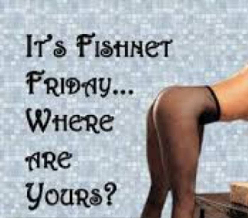 MilfMafiaEnt's tweet photo. 🥵FISHNET FRIDAY🥵

🔥Post your hottest fishnet pics and vids in the comments🔥

💜LIKE
🔁RETWEET 
😍FOLLOW https://t.co/RRd5qy48ni