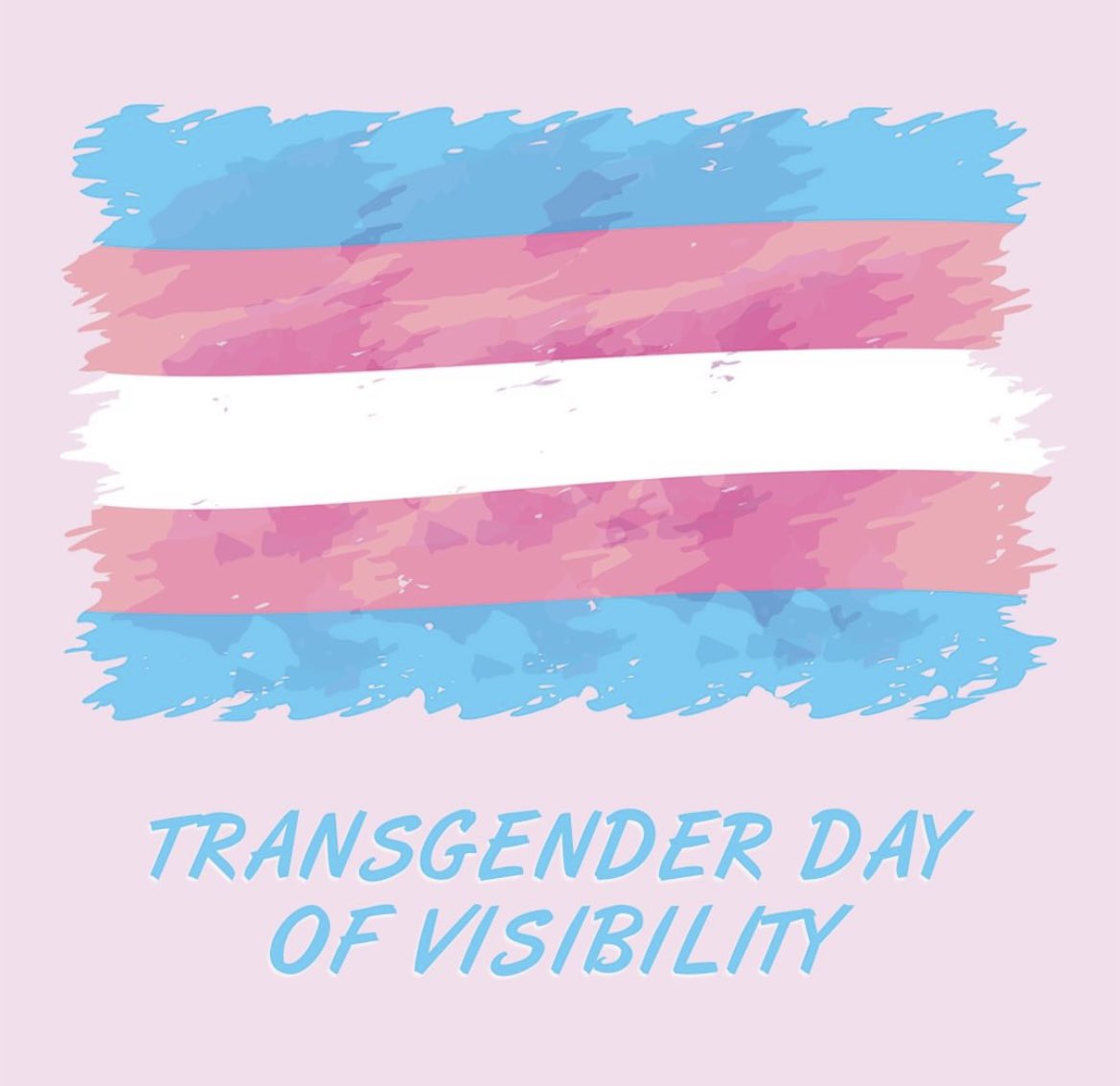 March 31st is Transgender Day of Visibility. We celebrate and uplift the voices and experiences of transgender people. Today and every day, we honour the courage and resilience of those who are living their truth despite the challenges they may face. @NVSD44 @cg_pac