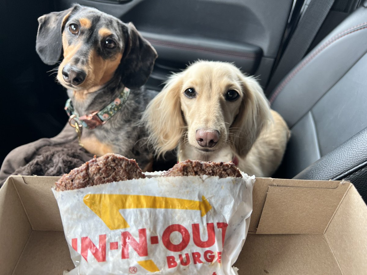 c-suite lunch. 

And before you try to be funny—No. They didn’t order anything “animal style.”