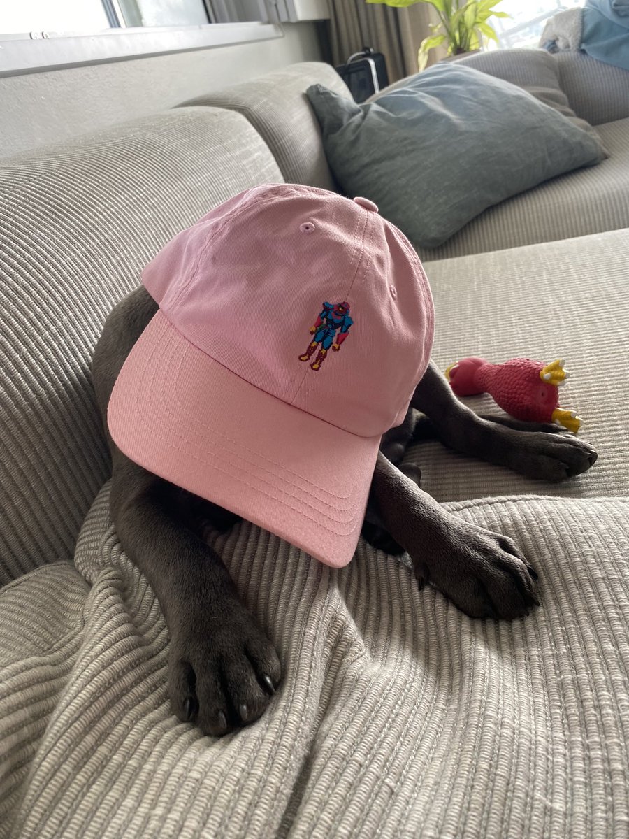 ORBMelee's tweet photo. ORB caps - guaranteed to bring out the dog in you.

Expressions of interest for shirts, jumpers, hats all open for a couple more days. https://t.co/riI5KsqheK
