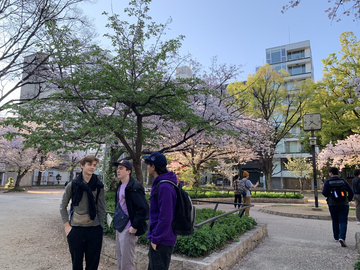 MsKariya's tweet photo. Cherry blossom welcome our #Samohi students on their first morning in Japan. @SamohiPrincipal @teachernesbitt @Dr_AShelton https://t.co/x7AOapQErL