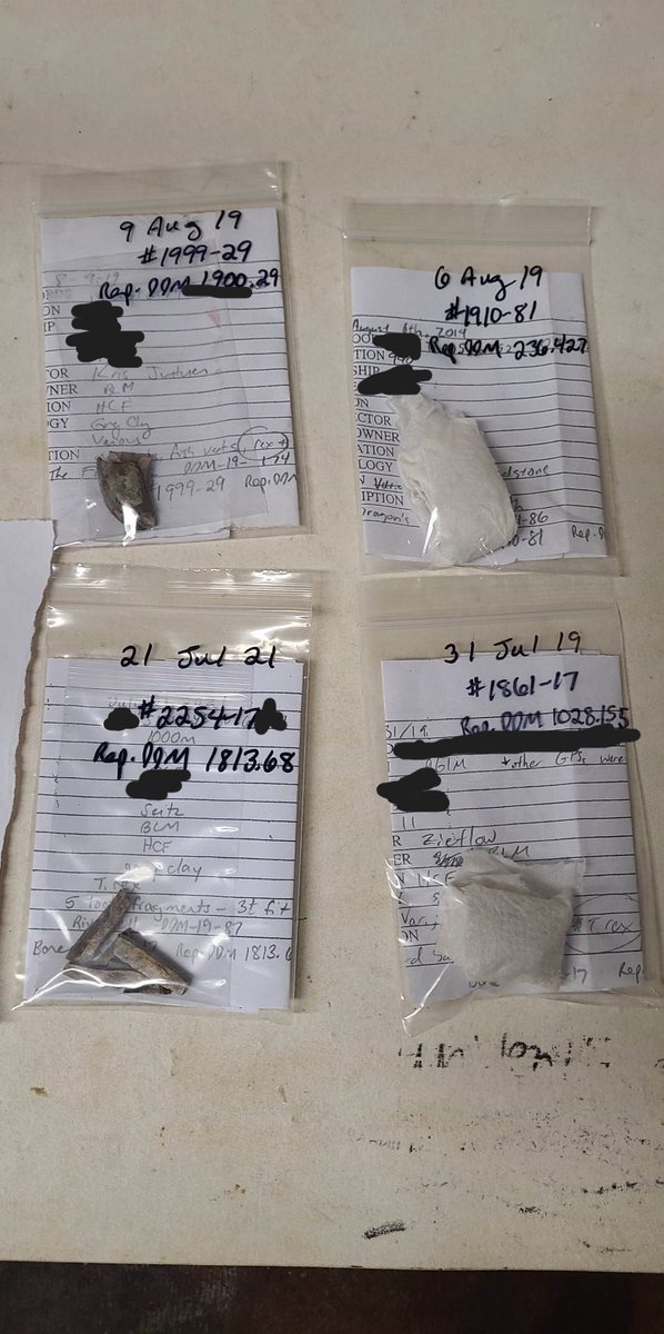 Happy #fossilfriday! I've been fixing up some #trex teeth. Some of them are hopefully being used for lab class for Carthage College. #Paleontology #dinosaurs #museums