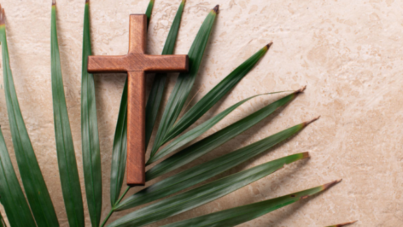 St. Austin Catholic Parish tweet media