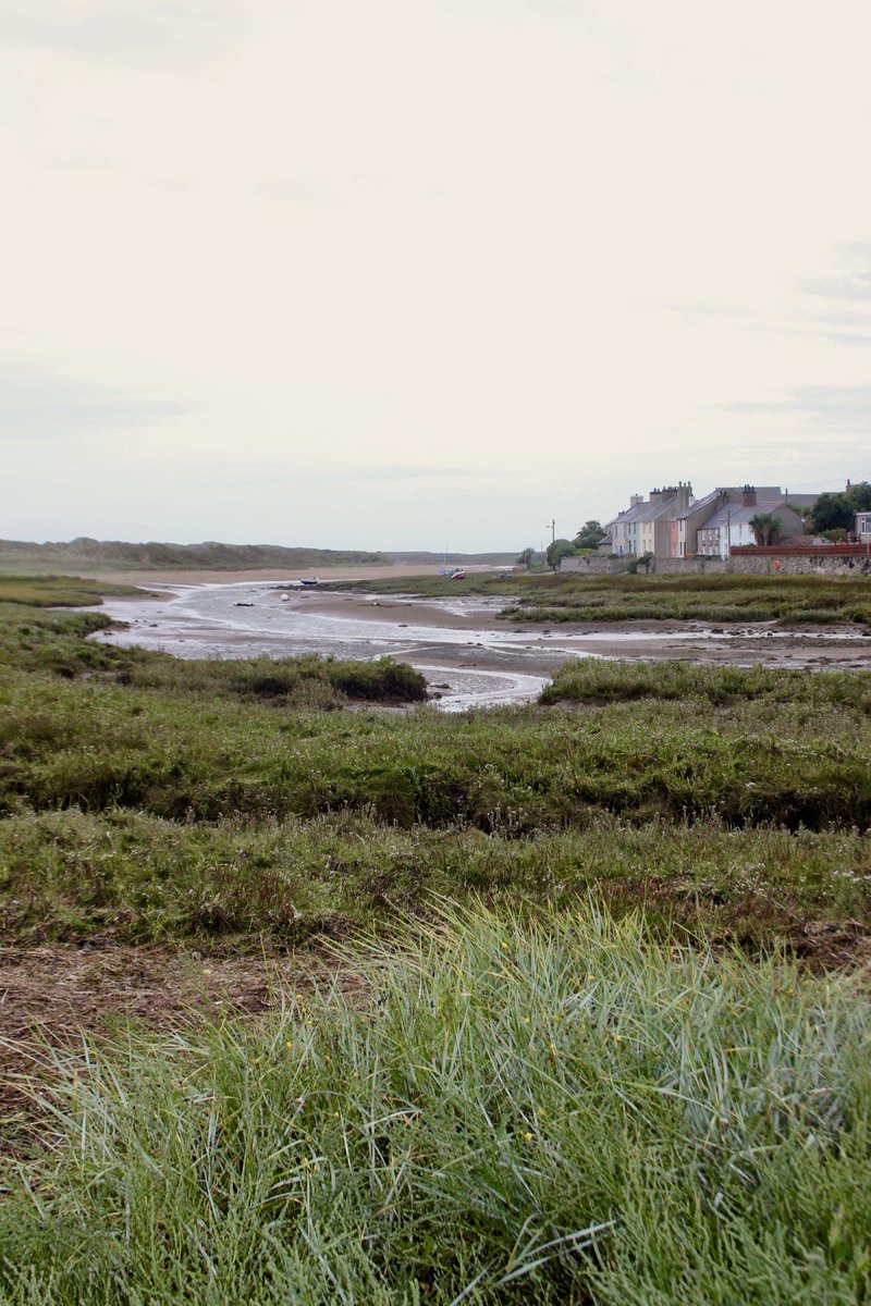 Berffro.

#WalesPhoto #CaruCymru #Cymru #YnysMôn #Anglesey #Wales #NorthWales #Photography #SirFôn #LandscapePhotography