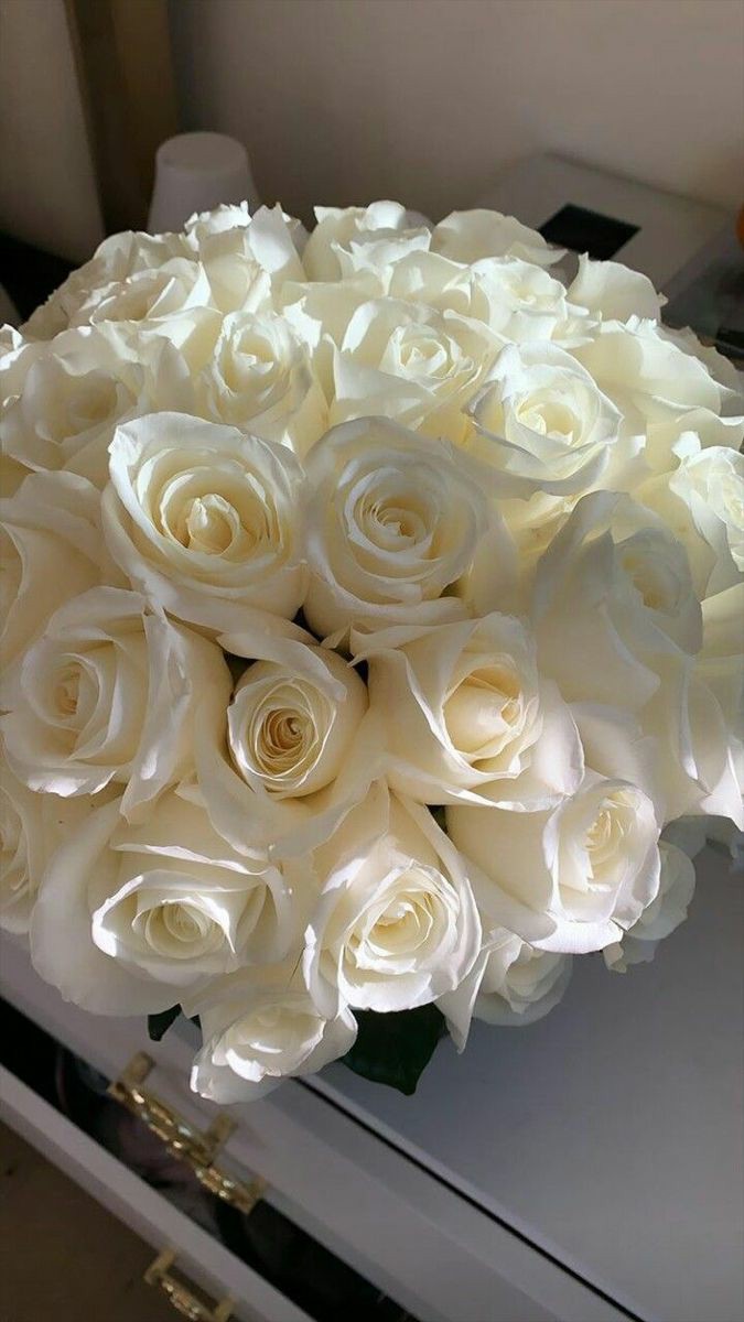 Outfit_Luxy's tweet photo. White flowers https://t.co/muwg9sSf70