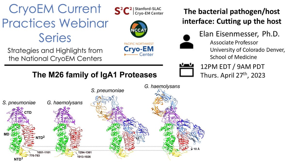 The next #CryoEM Current Practices Webinar speaker will be Dr. Eisenmesser from University of Colorado Denver School of Medicine.
on 4/27/2023 at 12 PM ET / 9AM PT 📷 Registration is at no-cost, but sign-up is required: 
us02web.zoom.us/webinar/regist…