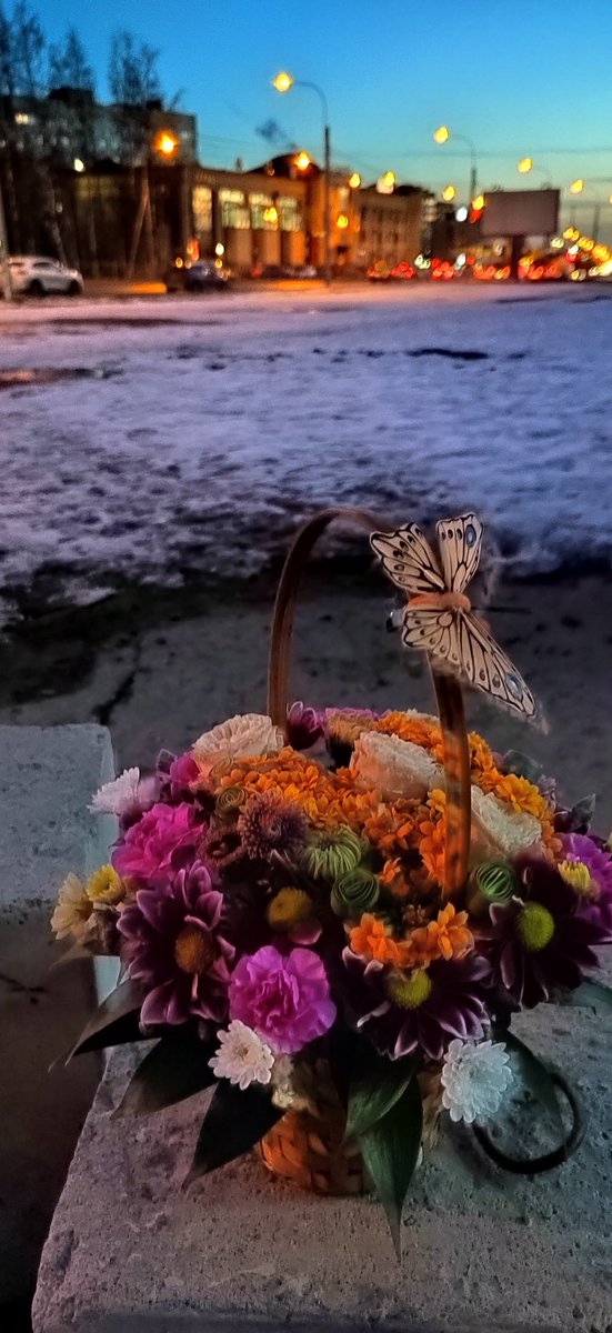 Хочется уже весны, солнышко... А не вот это всё 😑