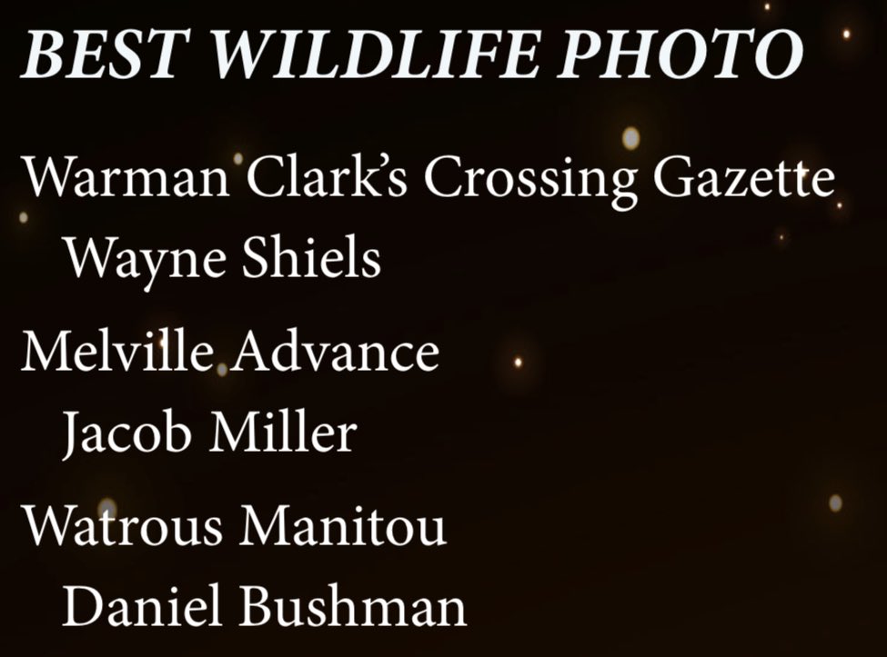 j_nmiller's tweet photo. I’m up for some #SWNA Better Newspaper Competition awards! My work is finalist for best news story, best wildlife photo, and best photo essay! https://t.co/XBgGlExgjD