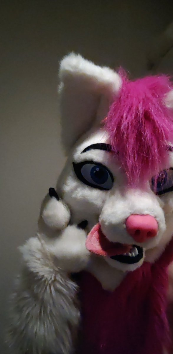 CarielTheWolf's tweet photo. Happy #FursuitFriday! https://t.co/cOHrQigqFF
