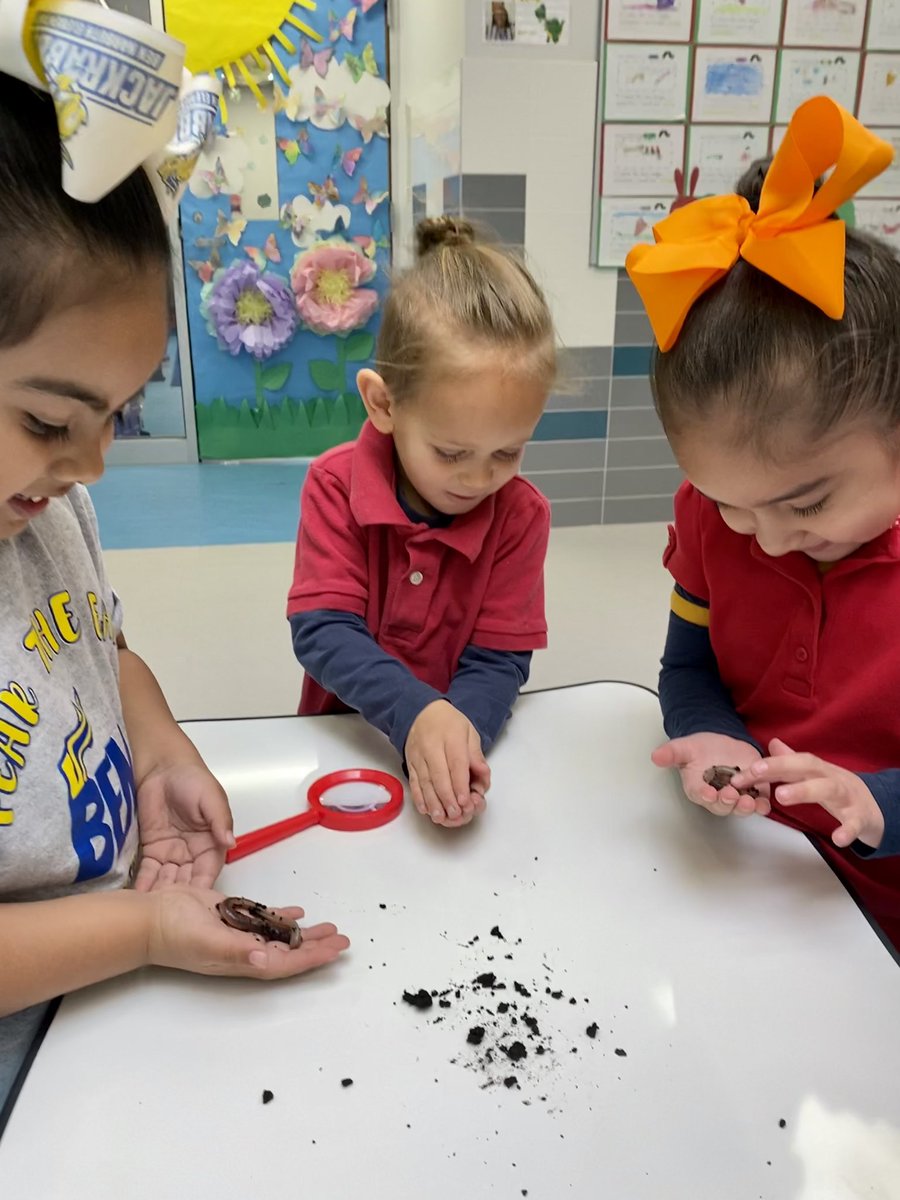 ACamacho_BNES's tweet photo. My favorite unit, critters and worms! 🤗 We wrapped up this unit with a sweet treat and getting to explore and hold real worms 🪱 #TeamSISD #BelieveEmbraceAccelerate https://t.co/3y061y2DKF