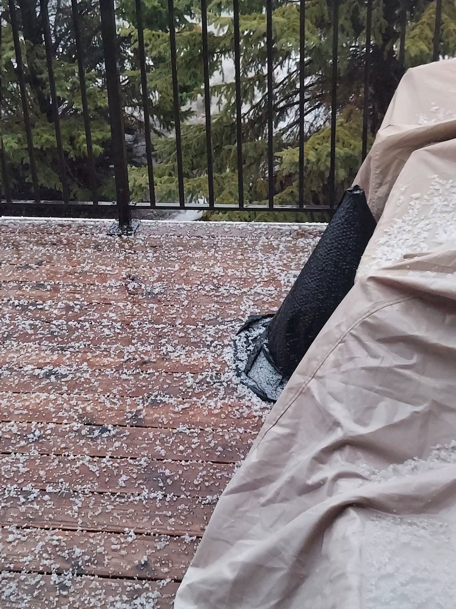 SteveRFox's tweet image. Rain - Lightning - Hail in Chanhassen near Lake Riley