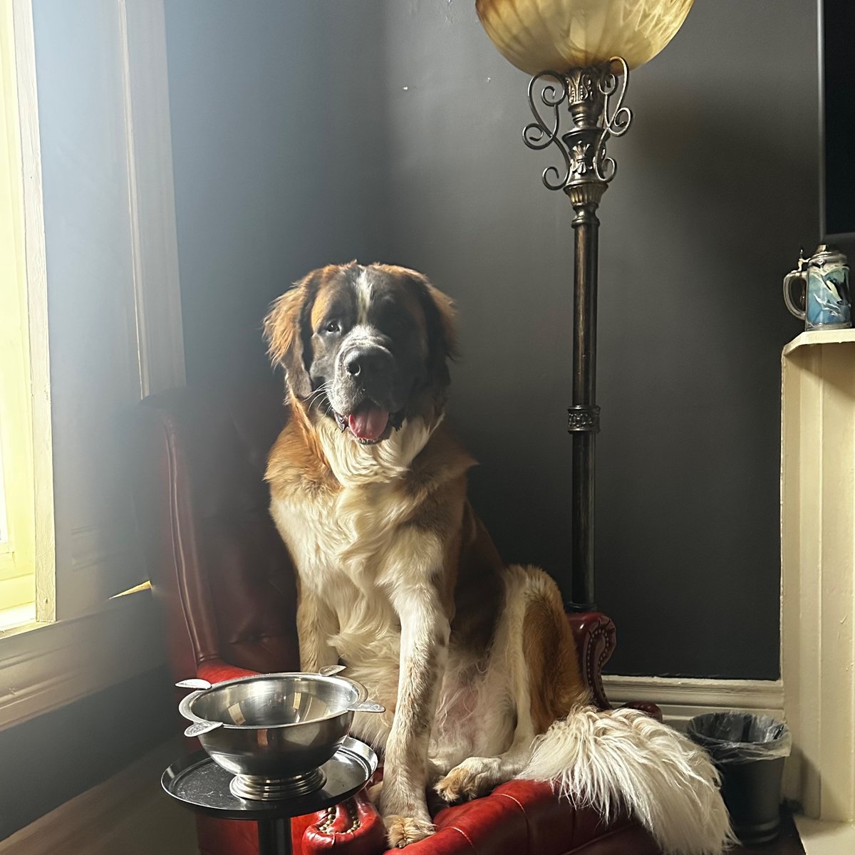 Spencer A. Klavan, verbal billionaire on Twitter "Today I am joined